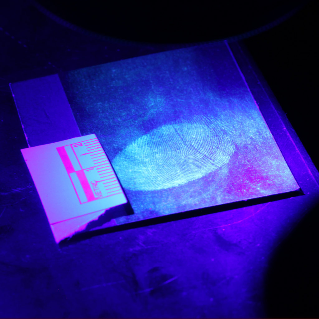 Thumbprint in fluorescent light
