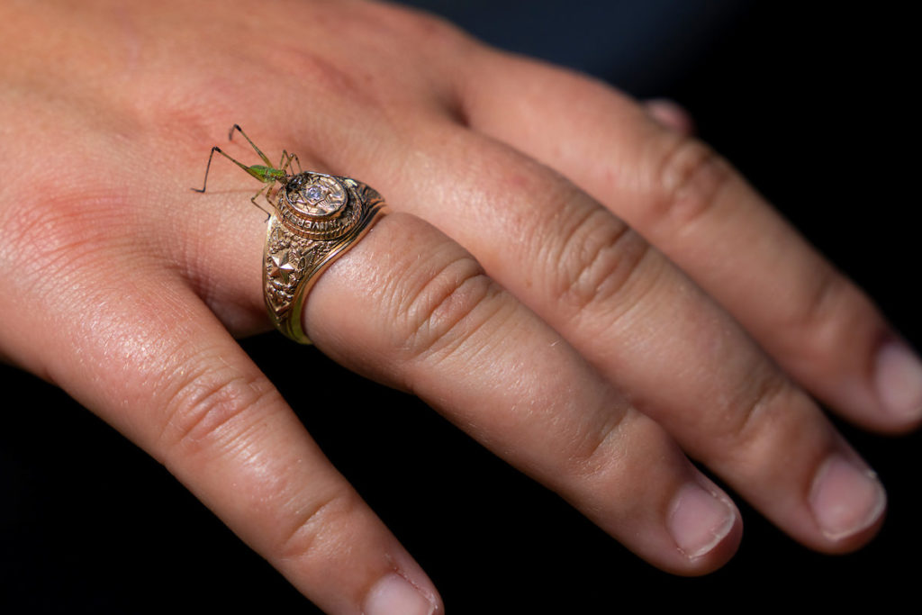 hand wearing Aggie ring with an insect sitting on it