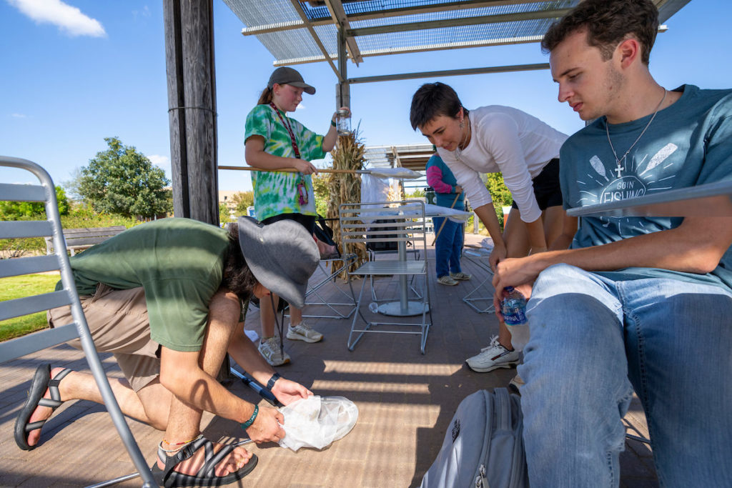 Students collecting insect samples on a cement patio