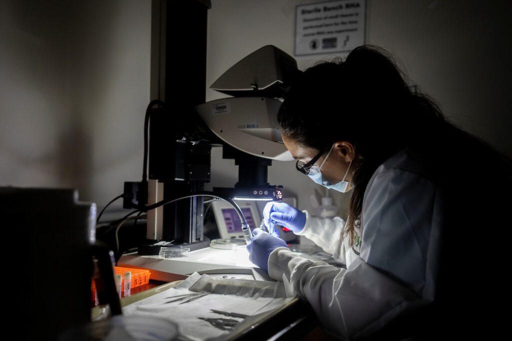 person in labcoat and gloves holding object while working in dark room with small desk light over work station