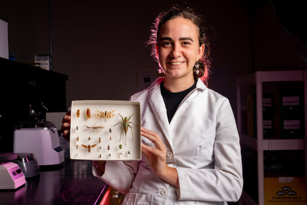 Goldwater Scholar Lisa Rollinson in a lab coat stands holding a box filled with various insects, showcasing her work in entomology.