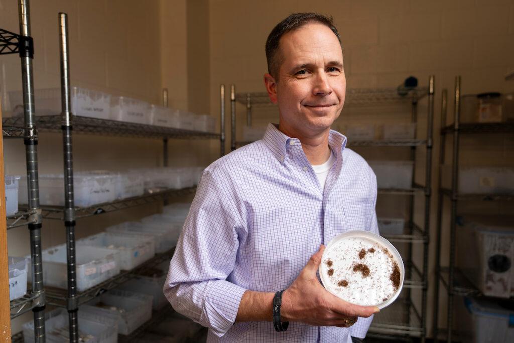 Robert Puckett, Ph.D., holds a dish filled with fire ants.