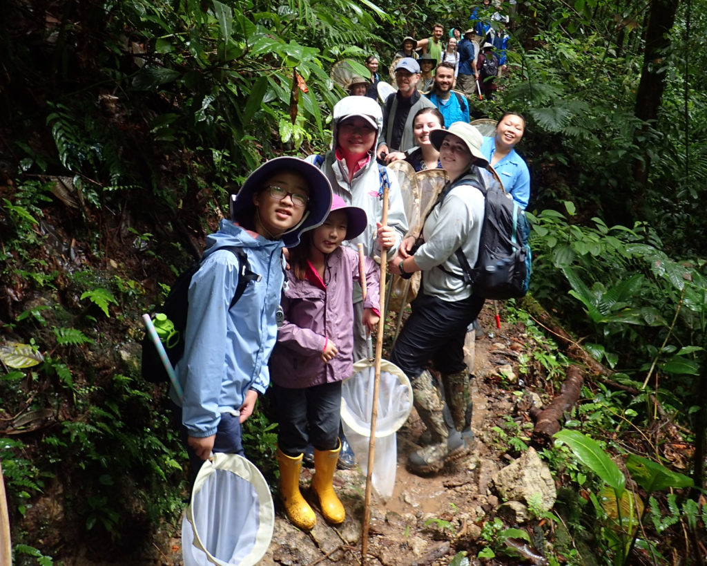 Students looking for insects in Costa Rica