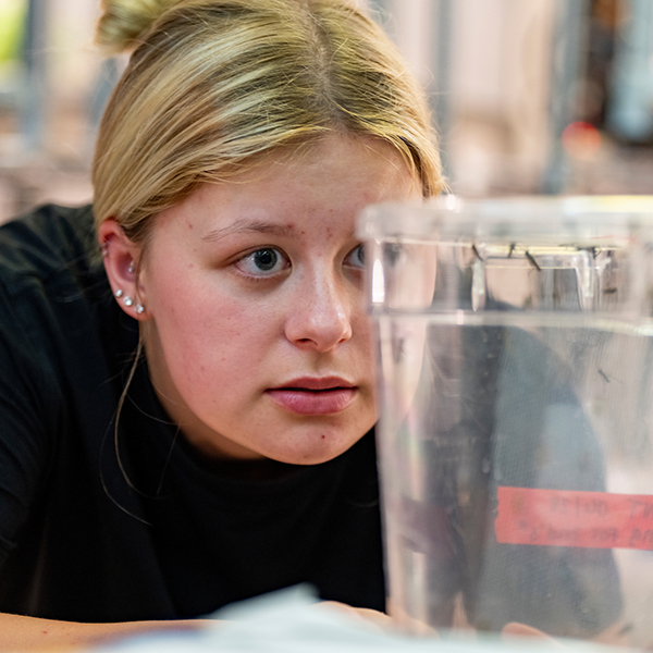 A female student looks closely at insect larvae in a clear container.