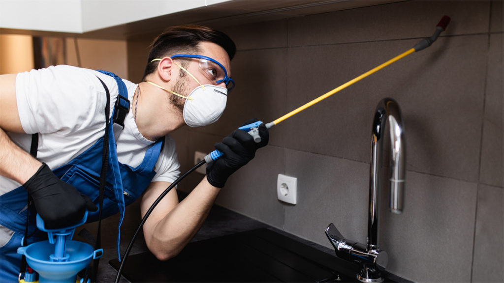 Man spraying chemical under cabinets while wearing mask and gloves.