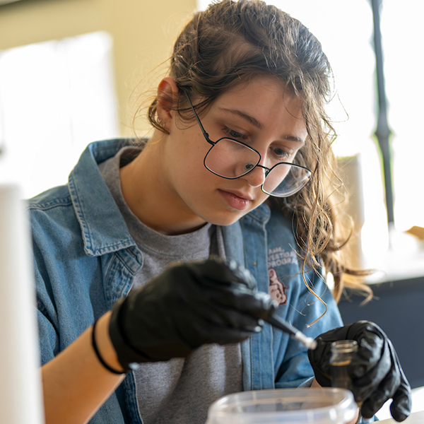 a female student using tweezers to remove an insect from a soil sample